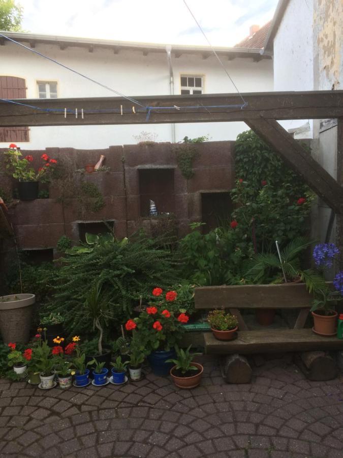 Otterbau Apartment Belgern-Schildau Екстериор снимка