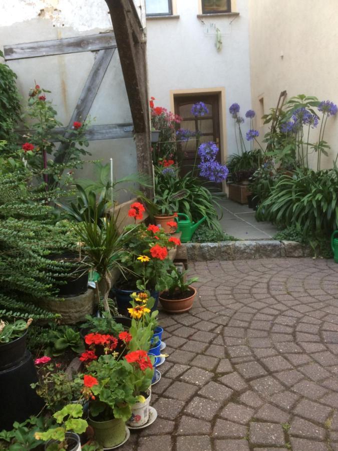 Otterbau Apartment Belgern-Schildau Екстериор снимка