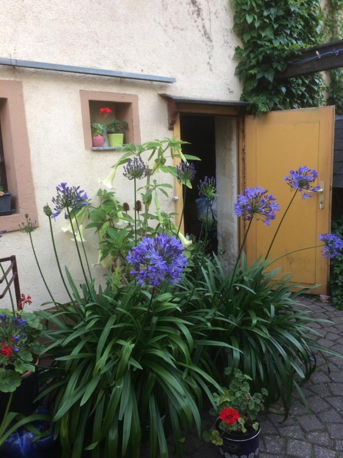 Otterbau Apartment Belgern-Schildau Екстериор снимка