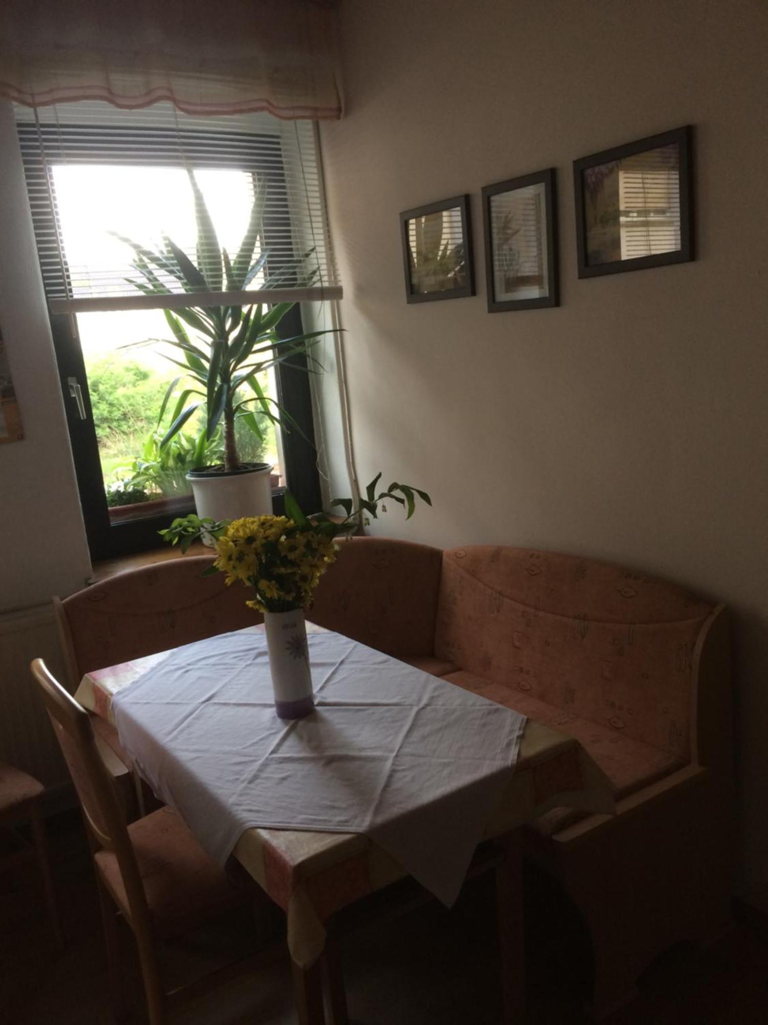 Otterbau Apartment Belgern-Schildau Екстериор снимка