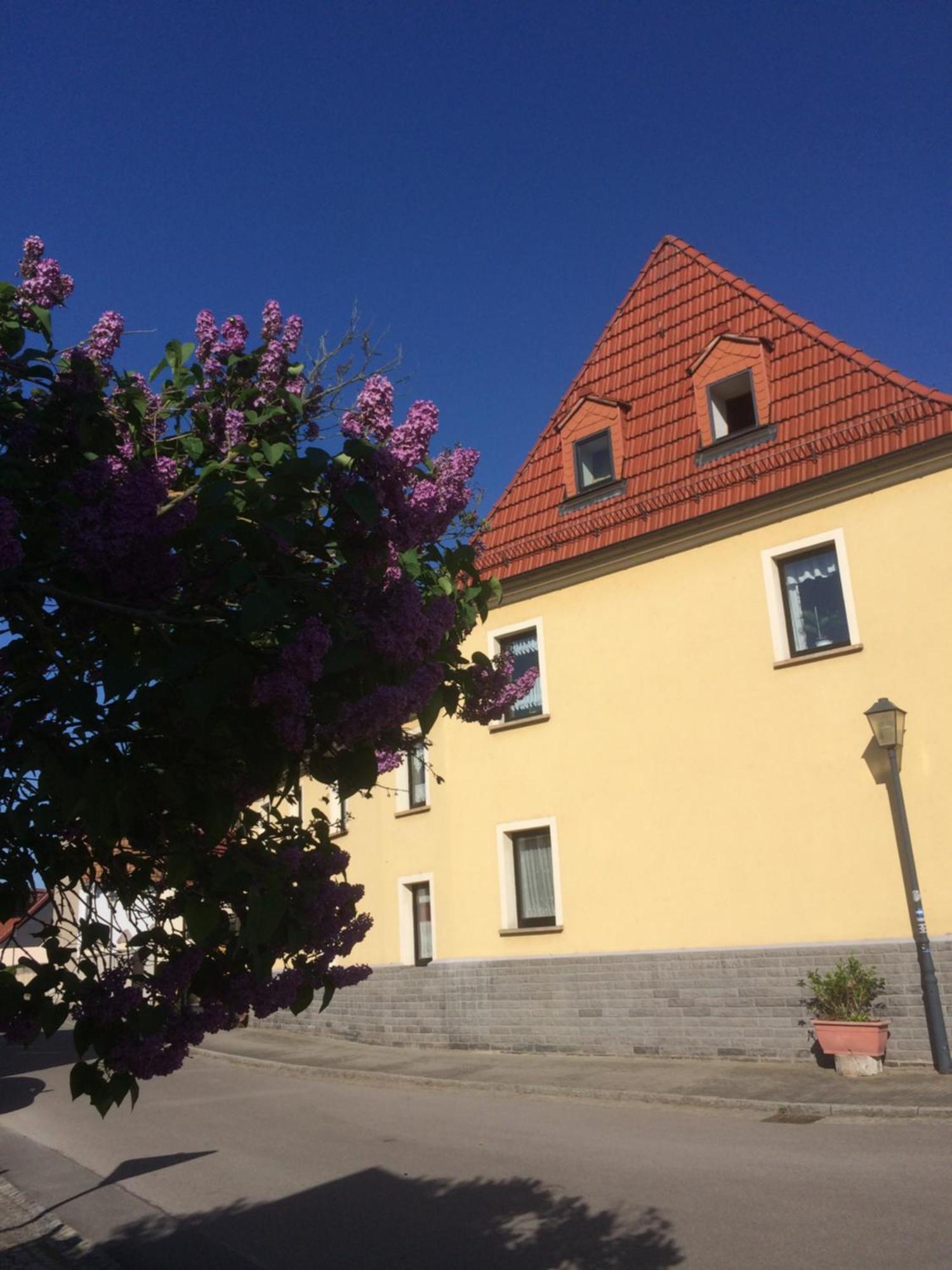 Otterbau Apartment Belgern-Schildau Екстериор снимка